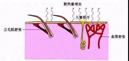 三恒系統(tǒng)微課堂之毛細(xì)管輻射系統(tǒng)